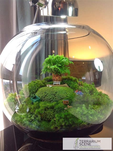 Bonsai Terrarium For Landscaping Miniature Inside The Jars