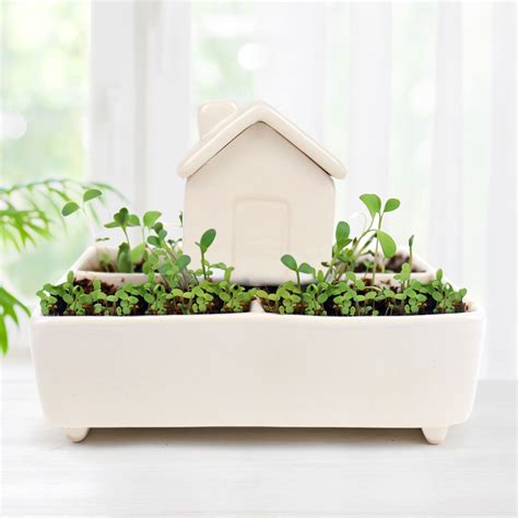 Self Watering House Herb Garden Planter Kit