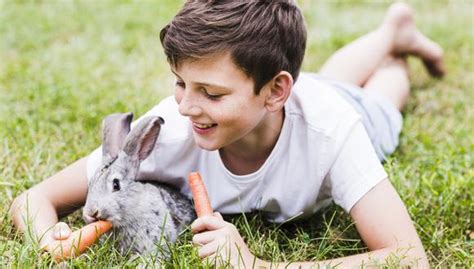 Primera Mascota Qu Tomar En Cuenta Al Elegir Al Compa Ero Ideal Para