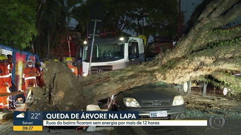 Queda De árvore Atinge Três Carros E Deixa Bairro Da Zona Oeste De Sp