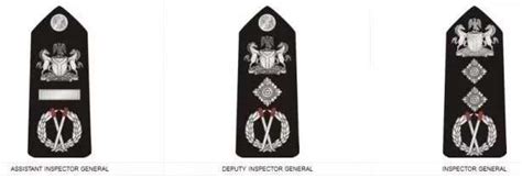 Nigerian Police Ranks And Symbols [updated 2020] Legit Ng