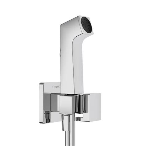 Hansgrohe Bidette Douchette De Bidet Avec EcoSmart Chrome 29231000