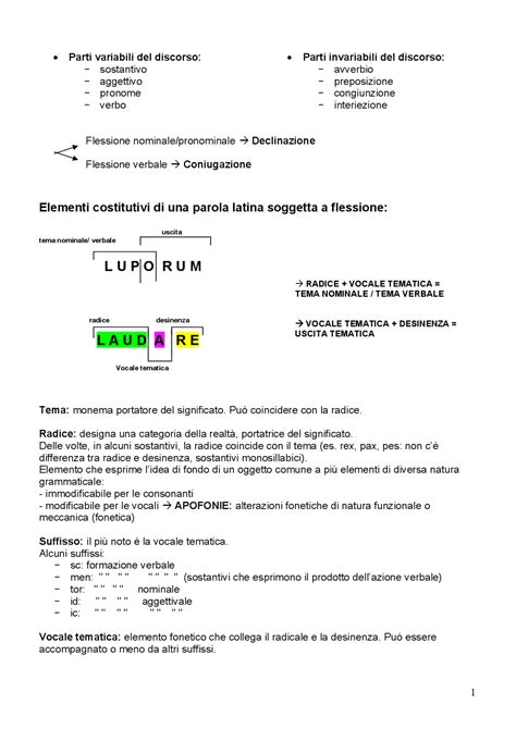 Grammatica Latina Riassunto Completo Sintesi Del Corso Di Lingua Latina Docsity