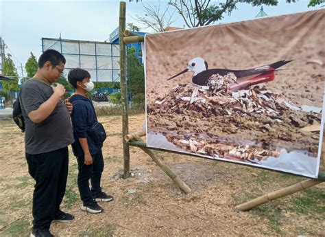 Isu Lingkungan Tersaji Dalam Bingkai Foto Di Festival Pameran Stikosa