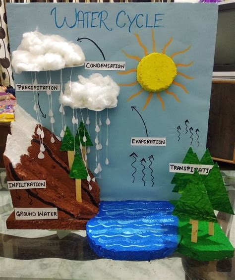 Water cycle project ️ ️ | Science projects for kids, Science exhibition projects, Science crafts