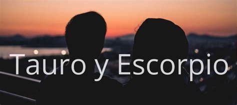 Tauro Y Escorpio Amor Compatibilidad De Pareja En