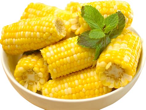 Collection Of HQ Corn PNG PlusPNG