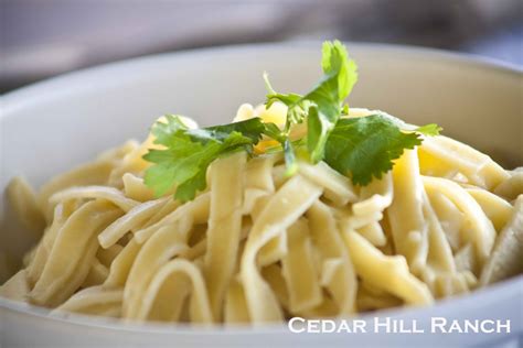 Ranch Stroganoff With Amish Egg Noodles Cedar Hill Farmhouse