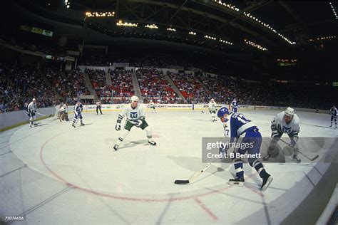 Canadian Professional Ice Hockey Player Wendel Clark Of The Toronto