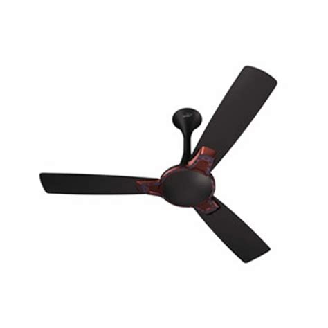 3 Blades V Guard Romanza Art VX Ceiling Fan 1200 Mm At 3500 Piece In