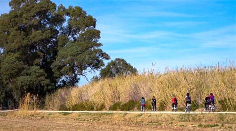 Desde Deltebre Tour En Kayak Y En Bicicleta Por El Delta Del Ebro Y La