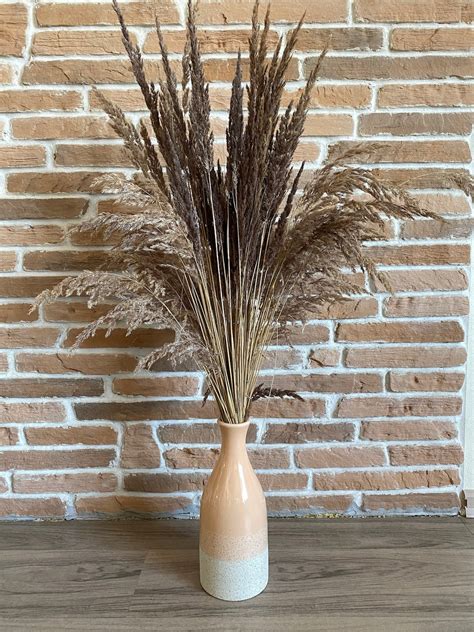 Dried Grass Decoration Grass For Vase Etsy