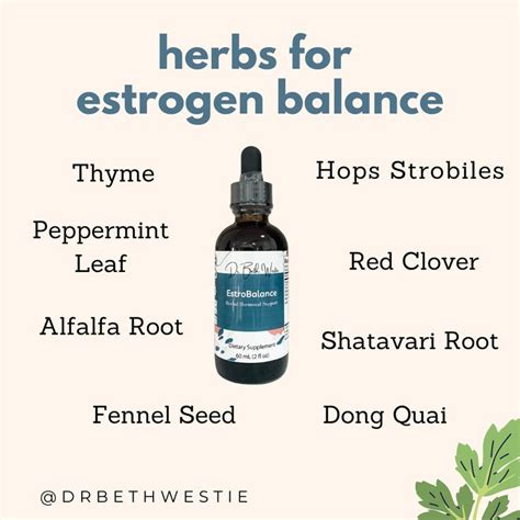 Herbs To Balance Estrogen Artofit