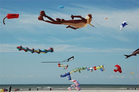 Berck Festival Des Cerfs Volants Voyages Remi