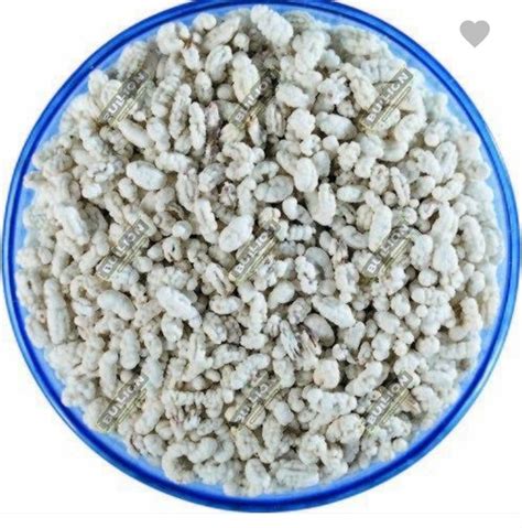 White Sweet Madrasi Saunf Green For Mouth Freshner Granule At Rs