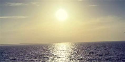 Lesbian Dating Site Chat Dating Site For Lesbians