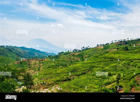 Waterfall Countryside Landscape In A Village In Cianjur Java