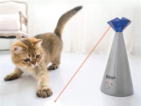 Amazon Shoppers Call This Interactive Laser the 'Best Cat Toy Ever'