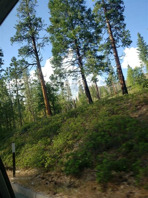 Pin By Gina Maggiano On Yosemite Country Roads Yosemite Road