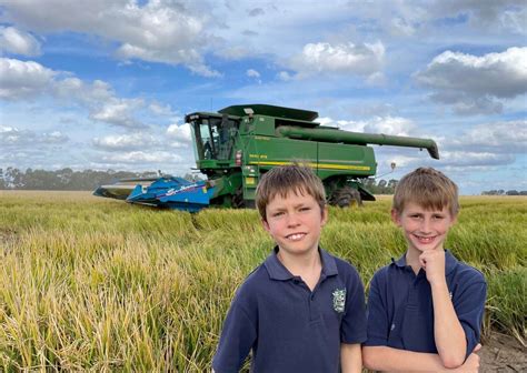 What a ‘rice’ day | Country News