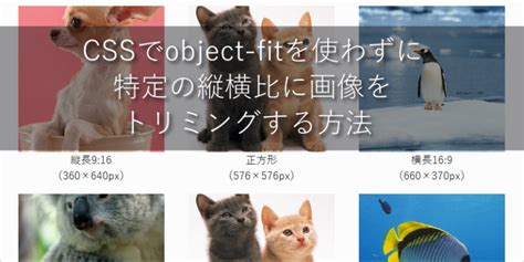 Cssでobject Fitを使わずに特定の縦横比に画像をトリミングする方法｜web Tips～ホームページ制作の覚え書き