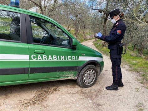 Concorso Carabinieri 2023 Assunzioni Per Laureati Liveunict