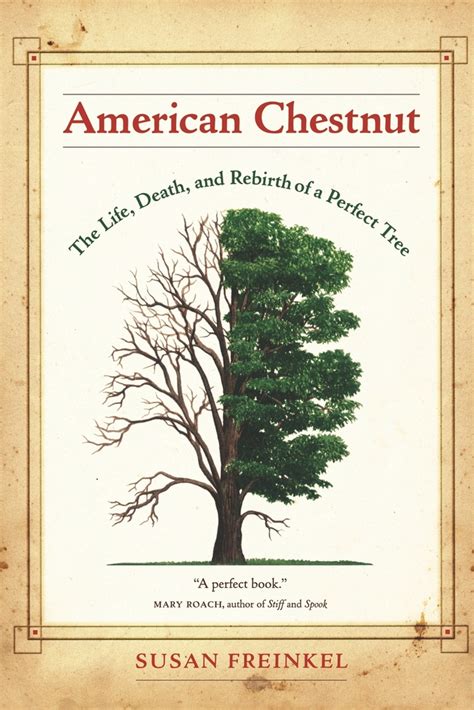 American Chestnut by Susan Freinkel - Paperback - University of California Press