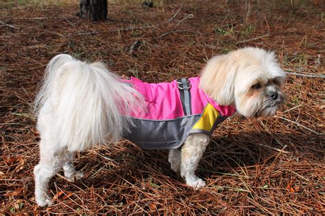 Winter Clothes For Shih Tzu - Shih Tzu Dog