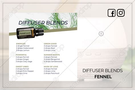 Fennel Diffuser Blends By Priscilla Siswoko