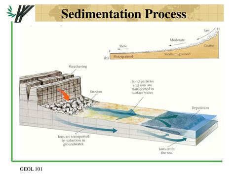 Ppt Chapter Sediments And Sedimentary Rocks Powerpoint Presentation