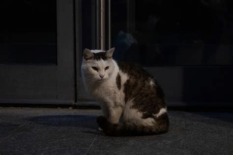 Вечерняя прогулка по Пскову… | Подслушано Псков