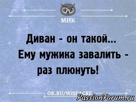 Повеселимся | Юмор | Позитивные цитаты, Небольшие цитаты ...