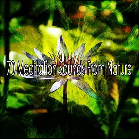 Amazon Music Unlimited - 瞑想 『70 Meditation Sounds From Nature』