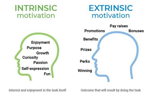 Whats The Difference Between Intrinsic And Extrinsic Motivation