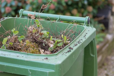 By leaving garden waste alone, we could store 600k tons of CO2 per year