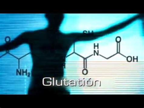 Glutation Sus Principales Funciones Youtube