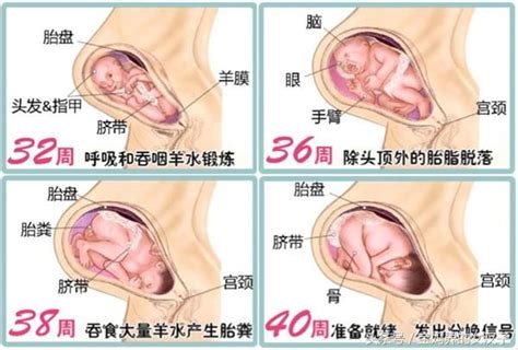 准媽媽孕晚期該如何做好日常護理 別急 這裡有答案 每日頭條