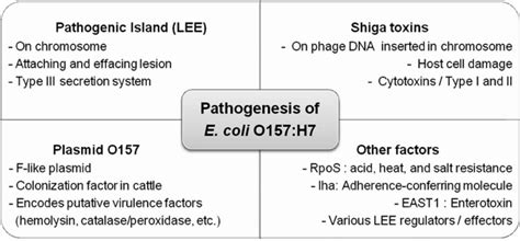 Different Virulence Factors Produced By Pathogenic E Coli O157h7 Download Scientific Diagram