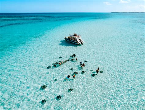 Cayman Experiences Stingray City Cayman Islands Official Tourism Website