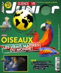 Magazine Science Vie Junior Achat Au Num Ro