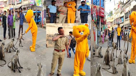 Teddy Bear Pushpa Dance With The Police Irritating People Prank