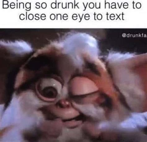 45 Really Funny Memes About Getting Drunk - SayingImages.com