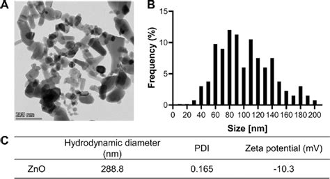 Characterization Of ZnO NPs Used In The Present Study A B