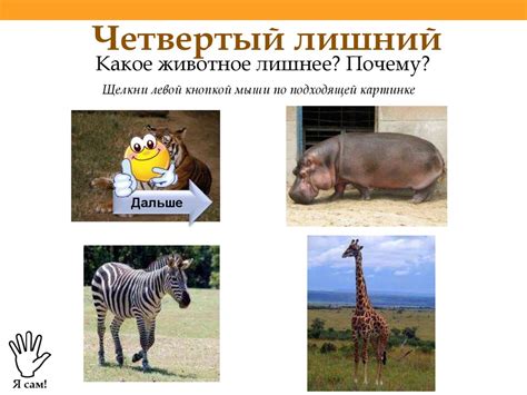 Животные жарких стран - презентация онлайн