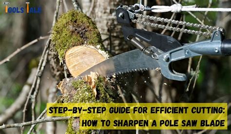 Step By Step Guide For Efficient Cutting How To Sharpen A Pole Saw Blade