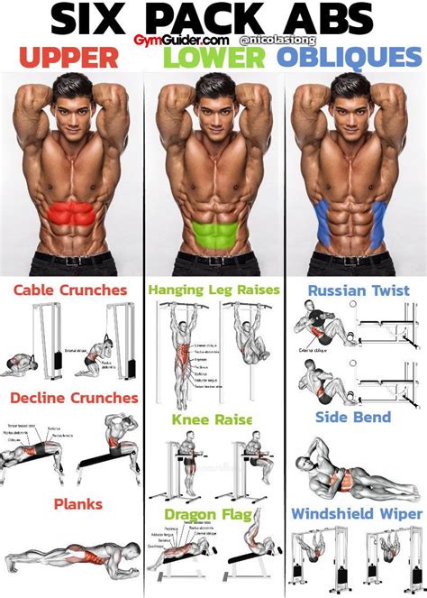 Exercises For Obliques And Lower Abs Online Degrees