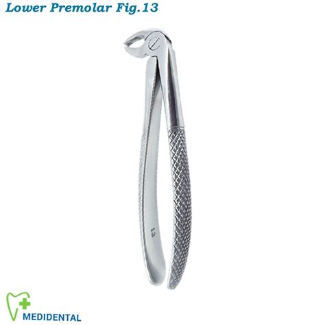 Dental Surgical Tooth Extracting Forceps Oral Extraction Plier Forceps