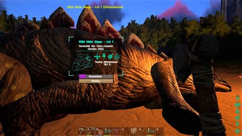 Ark Survival Evolved Taming The Stegosaurus Youtube