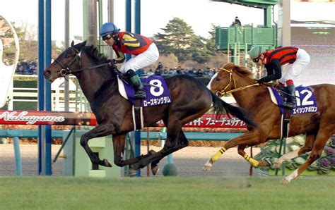 バラ一族の2億円馬・チャンスザローゼスが引退、乗馬へ 藤田晋氏の所有馬としても注目集める 競馬写真ニュース 日刊スポーツ