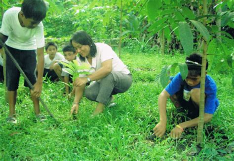 DepEd Mogpog District: Paye Elementary School - Tree Planting